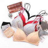 Double Stripped Single Padded Bra