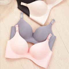 Seamless Bra pack of two
