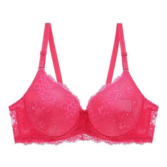 Beautiful Lace Bra With Wire